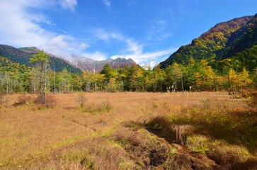 上高地 田代湿原　秋景色