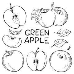 Set of hand drawn apples on white background. Whole and sliced apples with leaves in engrave style.