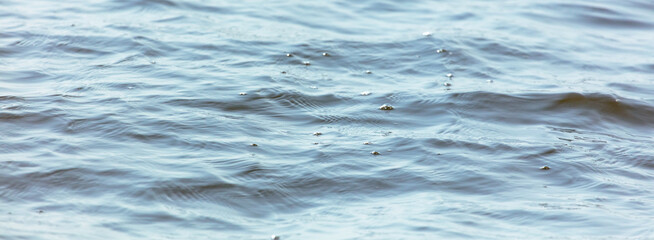 Water surface in the lake as a background.