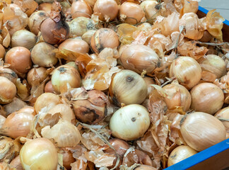Onions on supermarket vegetable shelf