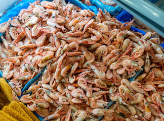 Frozen shrimp. Shrimps are red, boiled and frozen. Concept of diet and consumption of sufficient protein