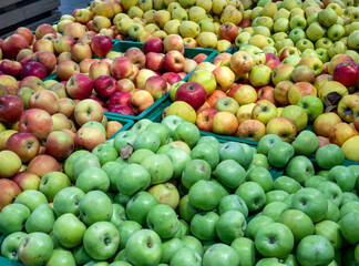 Red and green apples on the supermarket counter. Apples in the cardboard boxes on the grocery shelf.