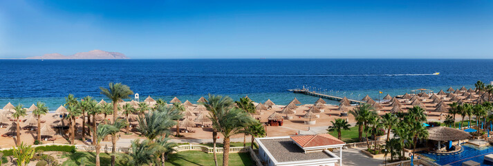 Panoramic view of Sunny beach in tropical resort with palm trees and umbrellas, aerial view in Red Sea coast in Egypt, Africa.	