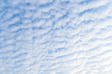 Little clouds floated in the sky, moving forward in the wind.