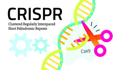 CRISPR-Cas9 The Genome Editing Technology that engineers DNA Sequences to treat genetic causes of disease.