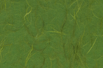 和紙テクスチャー背景(緑色)  筋のテクスチャがある深緑色の雲竜和紙