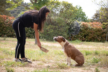 jeune fille qui donne à manger à son chien