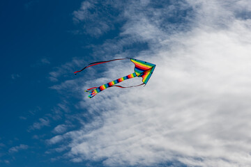 Colorful Kites flying over the sky