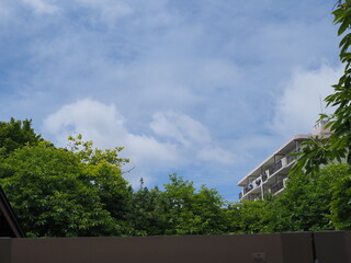 5月の青空
