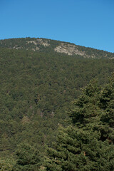 Fototapeta na wymiar góry krajobraz widok zieleń drzewa przyroda