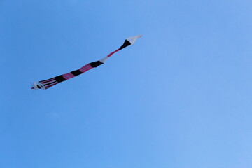 kite in the sky