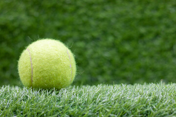 Tennis ball is on green grass