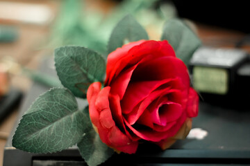 Fototapeta premium Red Rose on a Wooden Table