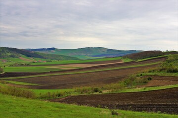 agricultural land between hills in spring