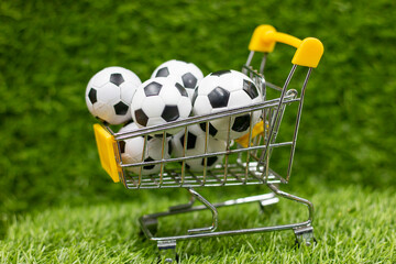 Soccer balls are in supermarket trolley