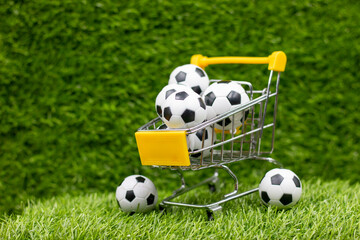 soccer ball on the grass