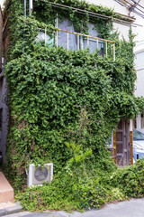 つたに覆われた都会の空き家