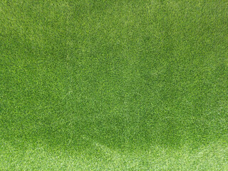 green grass background