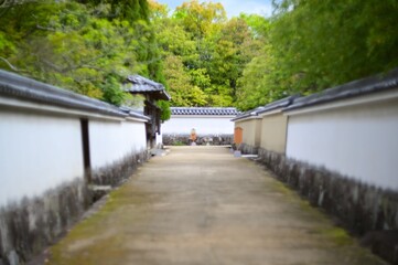 Fototapeta premium Path in the japanese garden - Himeji, Japan