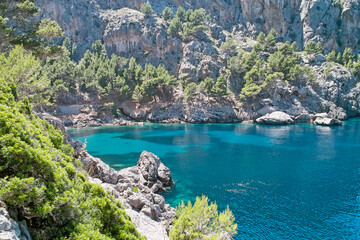 Fototapeta premium Mallorca Insel im Mittelmeer