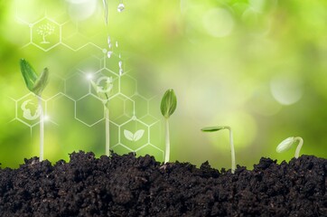 Fertilizer.