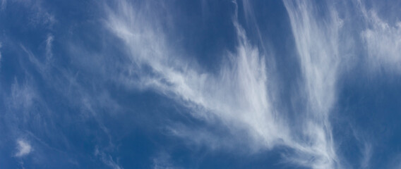 Fototapeta premium Panorama of blue sky and white clouds