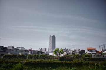 東京の住宅街の向こうにそびえる高層マンション