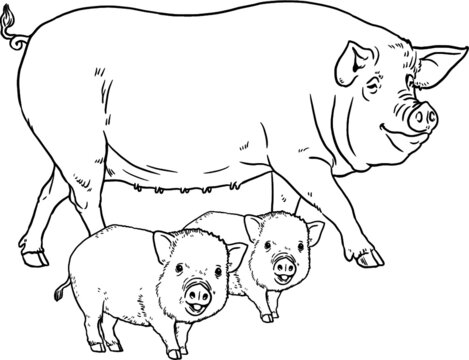 Coloring page with the animals. Pig with piglets for coloring. Vector drawing.	
