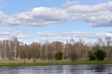 Fototapeta na wymiar Spring landscape. Forest, river and field in early spring.