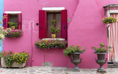 Fototapeta na wymiar Bright pink houses with red window shutters and lots of flowers and plants in front in Burano, Venice, Italy