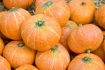 Organic orange Japanese Pumpkin sell in fresh market