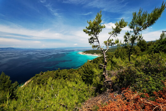Greece Sithonia Chalkidiki paradise beach with rock and pine-tree. Scenic landscape Aegean sea landscape, Greece, Europe