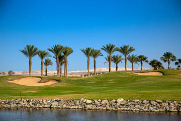 Golf field in the middle of palm trees and beautiful seashore at far east resort - obrazy, fototapety, plakaty