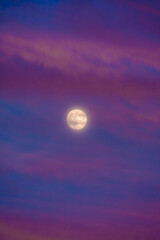 Obraz na płótnie Canvas Perigee Moon (Supermoon) surrounded by purple clouds at sunset with a dark blue sky, closest point of our satellite to planet Earth