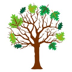 Spring tree with leaves, vector illustration