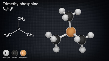 Trimethylphosphine (trimethylphosphane). Formula P(CH3)3 or C3H9P. Abbreviate as PMe3. 3D illustration. Chemical structure model: Ball and Stick.