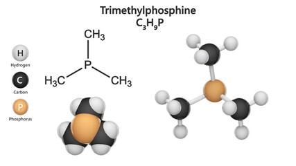 Trimethylphosphine (trimethylphosphane). Formula P(CH3)3 or C3H9P. Abbreviate as PMe3. 3D illustration. Chemical structure model: Ball and Stick + Space-Filling. Isolated on white background.