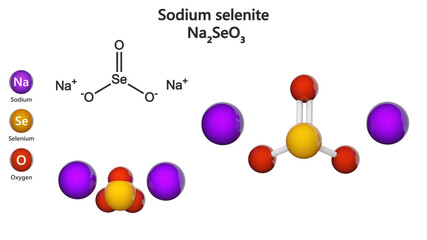 Sodium selenite is the inorganic compound with the formula Na2SeO3. 3D illustration. Chemical structure model: Ball and Stick + Space-Filling. White background.