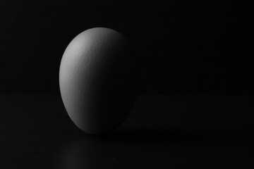 egg with shadow on black background