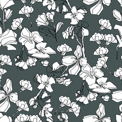 Pattern with sakura buds, apple cherry blossom. Medicinal herbs, rapeseed. Beautiful hand-drawn graphics. For textile, wallpaper, design, paper, banner. Stock graphics, isolate.  - 432492304
