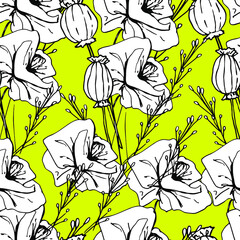 Summer pattern with wildflowers, dried flowers. Poppy, poppy box, medicinal herbs, spikelet. Beautiful hand-drawn graphics. For textile, wallpaper, design, paper, banner. Stock graphics, isolate.  - 432492990