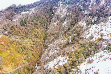 Mtirala National Park in winter with drone, Adjara, Georgia