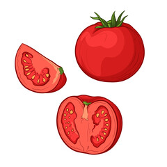 Tomato, half a tomato and a slice, isolated on a white background. Vector illustration of vegetables in cartoon style.
