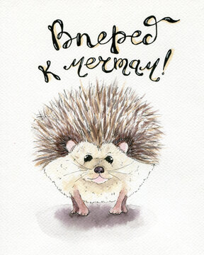 funny hedgehog smiles at you watercolor drawing