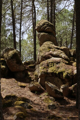 2020/08/03 Rock column in pine forest in Las Navas del Marques, Avila, Spain