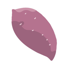 食べ物_食材_野菜_さつまいも_線無し