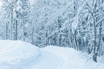Fototapeta na wymiar A snow-covered cross-country ski run on a frosty winter day