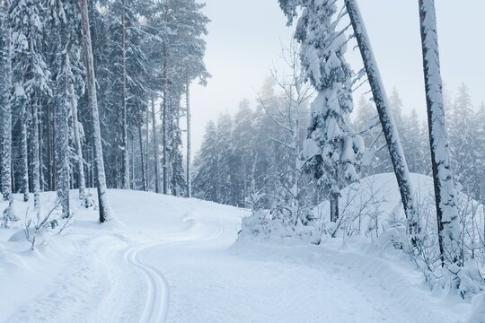 A snow-covered cross-country ski run on a frosty winter day