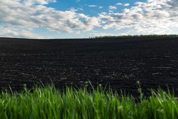 Fototapeta premium Natural background of black farmland in sunny day.