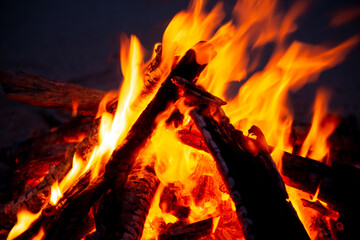 キャンプと焚き火